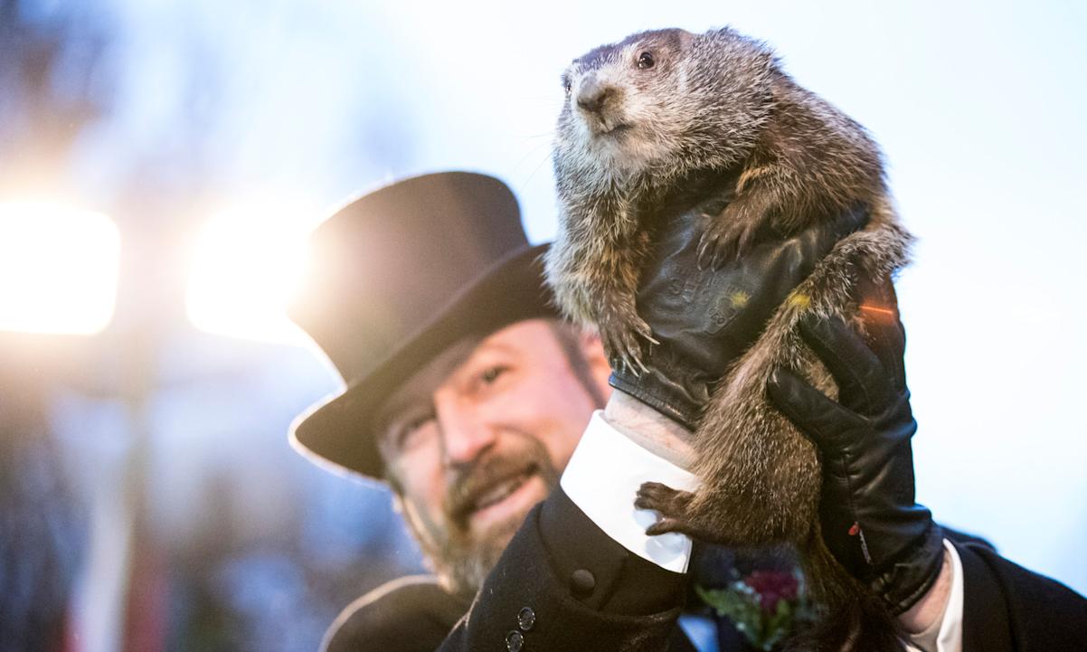  Punxsutawney Phil