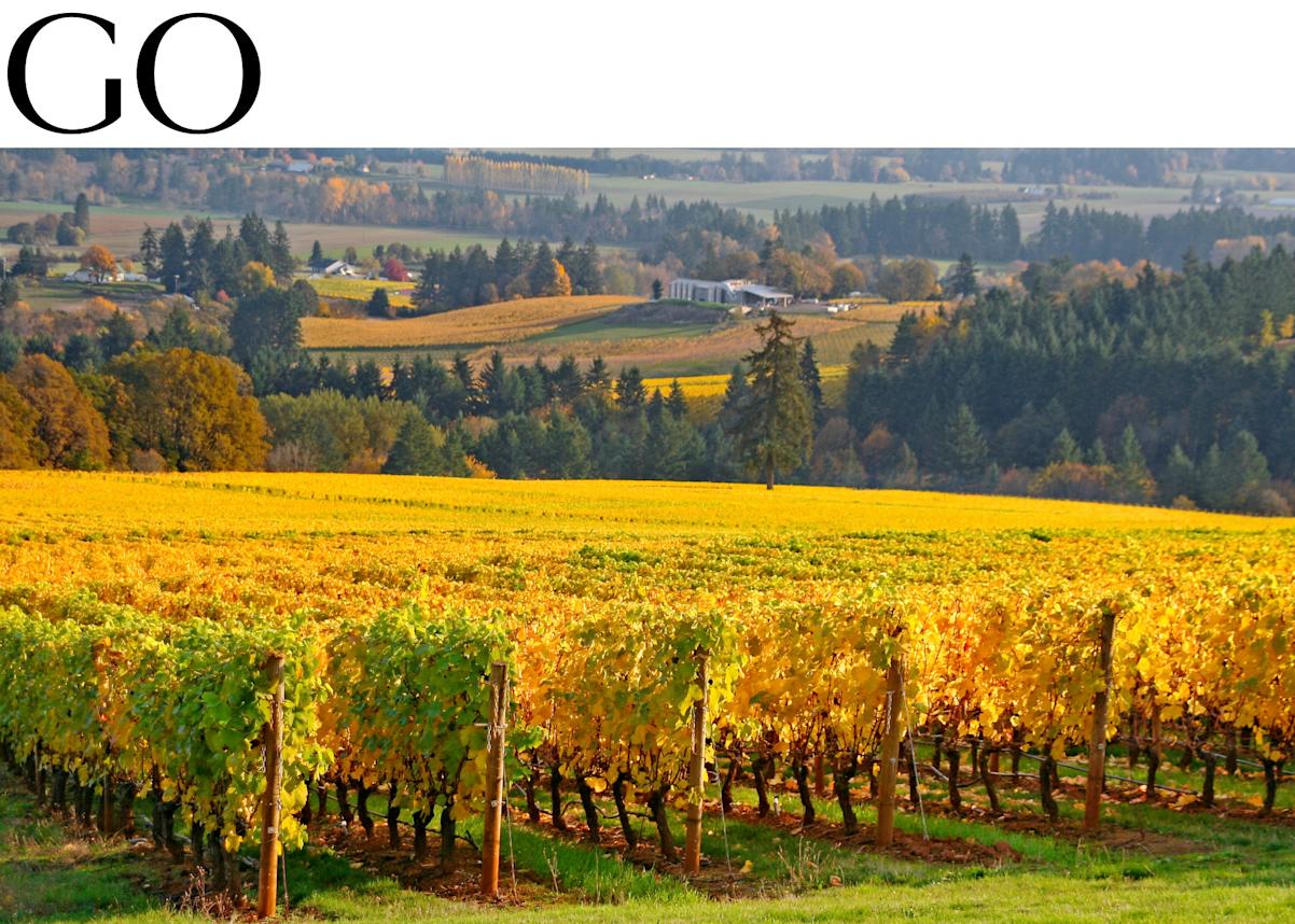 Oregon’s Willamette Valley 