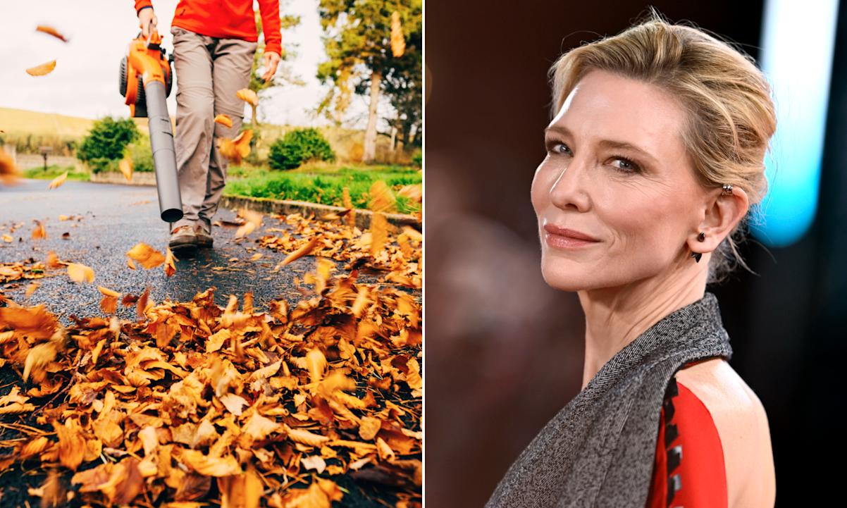 Cate Blanchett and a leaf blower